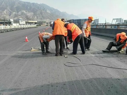 辽阳道路桥梁病害治理